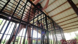 online porn video 41 Dava Foxx Caning Tiedup Douchebag - fetish - femdom porn daphne rosen femdom-0