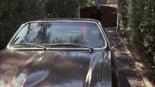 The Black Gestapo (1975)!!!-0