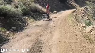 BondageLife – Pony Cart Walk!!!-8