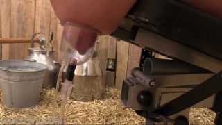 adult video clip 2 livejasmin fetish HuCows – Cindy Dollar – teat training, hucows on bdsm porn-7