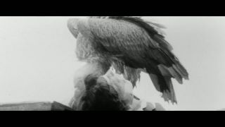Taking Tiger Mountain (1983)!!!-8