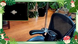 marinadove 2024-02-08 3194782630 this stream includes domme boots, dildo riding,-0