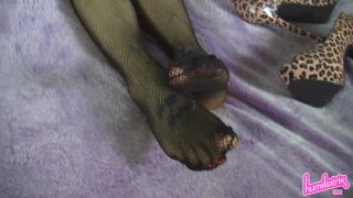 online adult clip 41 Humiliatrix – Princess Missy – Dangles a Fishnet Footjob in Your Face - femdom pov - masturbation porn alexis texas fetish-5