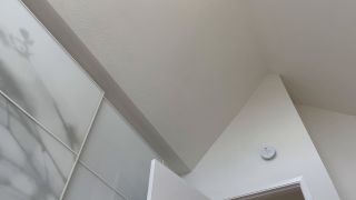 porn clip 43 femdom hub fetish porn | Nicolette Bloom – Wife humiliates diapered husband | dirty talking-2
