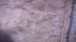 Ricksavage.com_Clipped Nipples Andrea-8