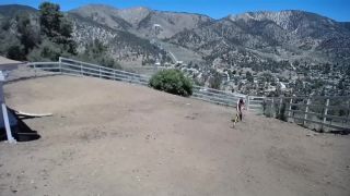free online video 27 BondageLife – Yard Maintenance (Dirt Edition) – Rachel Greyhound | rachel greyhound | femdom porn lorelei lee femdom-2