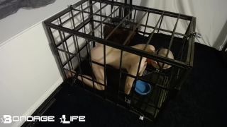 free adult clip 35 lesbian armpit fetish Bondage Life – Cage Time With Greyhound (Owner Edition), bondagelife on femdom porn-4