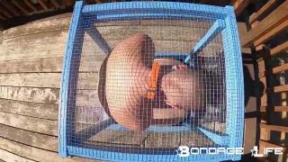 online adult video 13 BondageLife – Tiny Cage Rachel Greyhound on femdom porn pantyhose femdom-7