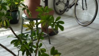 free online video 31 male fart fetish femdom porn | Caffeinated_By_Audriasana_Trailer | art-5