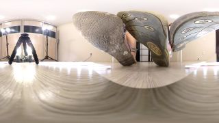 free video 35 Angela inga – Giantess feet vr, princess beverly femdom on pov -4