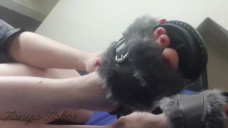 free porn video 39 Furry Foot Fuckery - sandals - fetish porn vr fetish porn-1