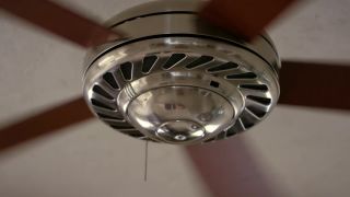 Maria Allred, Julie Webb - The Texture of Falling 2018 HD-9