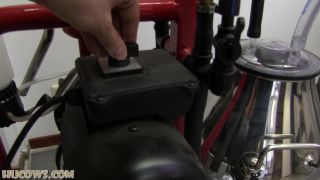 free porn video 43 HuCows – Katarina vibrated, porno bdsm anal sex on bdsm porn -3