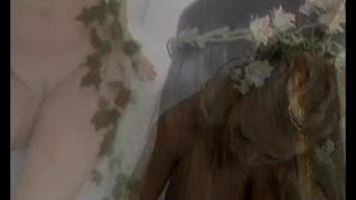 free adult video 41 femdom hub brunette girls porn | Busty Hollywood Starlets 3 Scene 1 | brunette-1