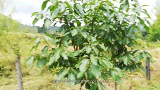 online xxx clip 19 sexycuteisa g – Isa Gomez – Eco Tits Mini Video - huge boobs - hardcore porn big tits best videos-4