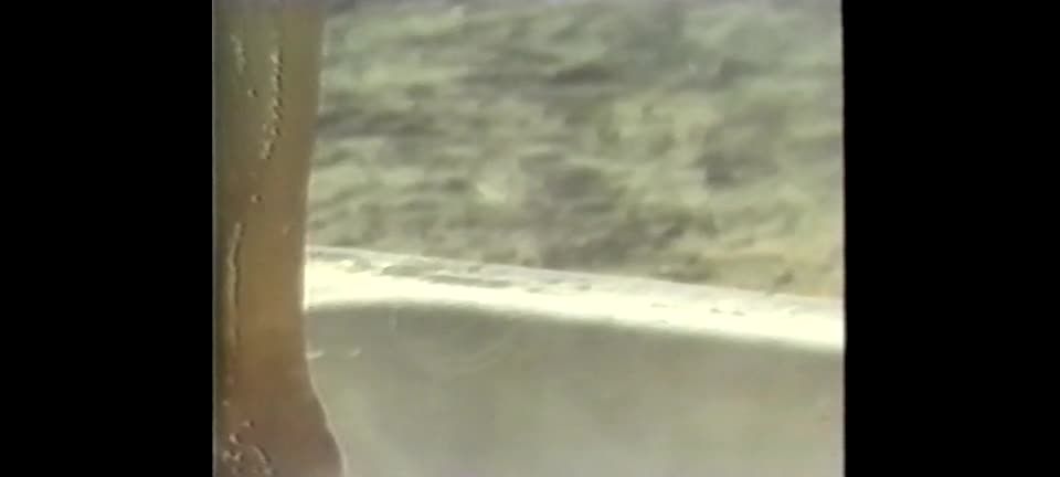 7390 Titillation 3