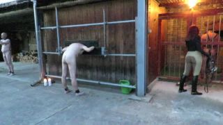 Danish Femdom - Sulky Ride - femdom - femdom porn femdom bi slave-2