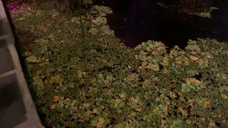 free porn clip 43 ffm femdom / femdom / femdom porn-1