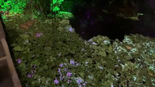 free porn clip 43 ffm femdom / femdom / femdom porn-2