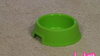 [SITERIP] Humiliatrix alydogdish-0