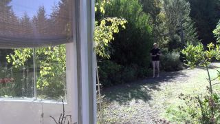 Dreams of SpankingDana Kane - 438-3
