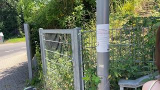 free xxx video 41 Truelove-Luna - Public erkannt und hinter den Kontainern abgefickt , lethal hardcore on hardcore porn -1