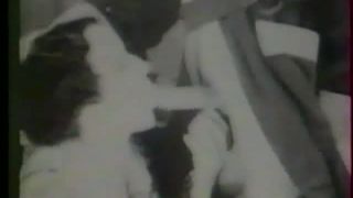 LeHard Clandestin-2