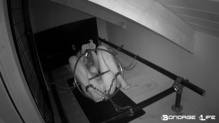 Rachel Greyhound The Ring Predicament Download New Porn V...-7