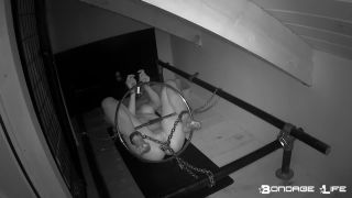 Rachel Greyhound The Ring Predicament Download New Porn V...-8