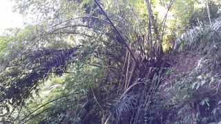 Dream4AngelNudism n Gaping Pussy at Jungle river # Gentle masturbation n fingering before river refreshing-0