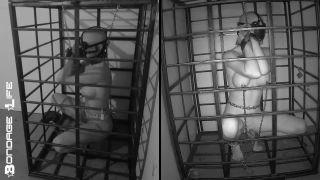 adult xxx video 41 Bondage Life – More Storage Time For Greyhound | fetish | fetish porn femdom sub-0
