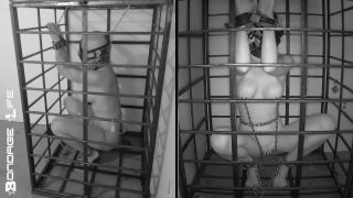 adult xxx video 41 Bondage Life – More Storage Time For Greyhound | fetish | fetish porn femdom sub-1