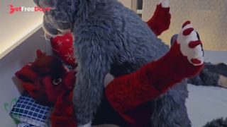 [GetFreeDays.com] this cute gray bunny fucks horny female wolf Murrsuit Porn Porn Video July 2023-3