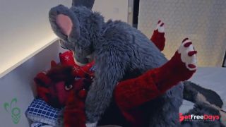 [GetFreeDays.com] this cute gray bunny fucks horny female wolf Murrsuit Porn Porn Video July 2023-4