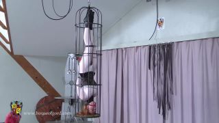 xxx clip 46 HouseofGord – The Bat Cage on femdom porn fetish hood-8