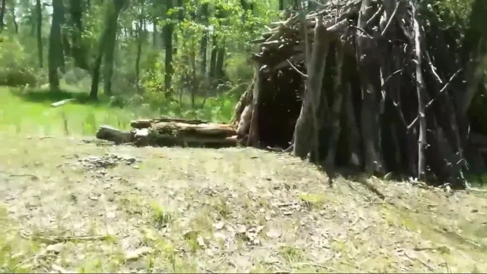 Outdoors Fuck In The Forest 1080p