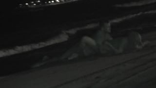 Night Watching 123 Voyeur-4