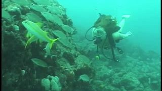 SexUnderwater e0018 Scuba Dears   Reef 2 (mp4)-8