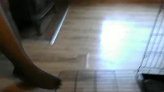 online porn video 41 Porn tube Turkish Mistress Big Foot Domination, alina li hardcore on feet porn -5
