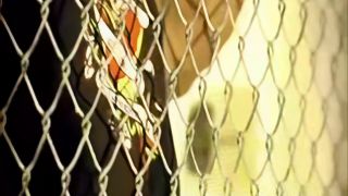 Gina Mond  Fence Anal 1080P Upscale-2