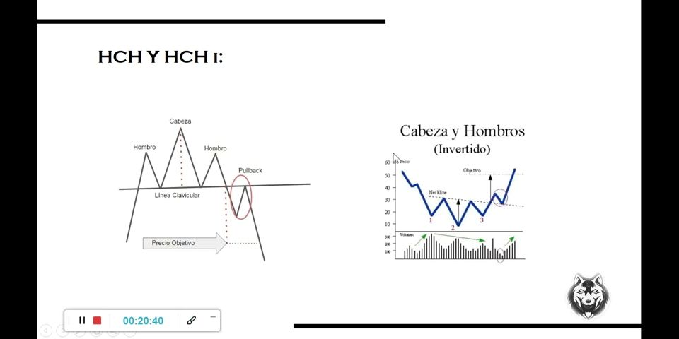 Verified Amateurs Estructuras  CHARTISMO 