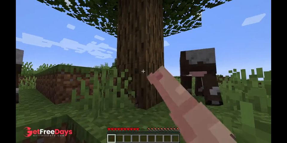 [GetFreeDays.com] Minecraft HardcorePORN EP1 Adult Clip January 2023