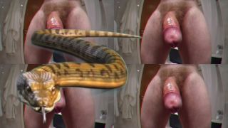 free online video 10 sph femdom Goddess Destruction - Snake Dongs 2, femdom on femdom porn-2