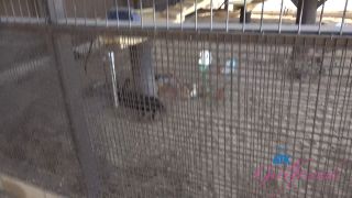 At The Farm Date 1 - 2 - 1521 Scene #1 Cecelia Taylor 13-11-2024 - Blowjob-3