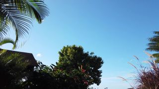 free adult clip 12 2020.02.13 Abril Jungle Girl | teens | teen -9