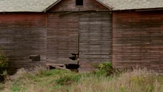 Blood Harvest (1987)!!!-9