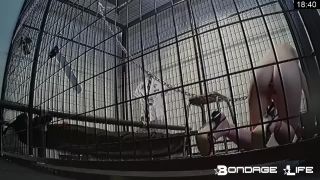 online xxx clip 4 femme fatale femdom Schoolgirl Dress Up, bondage on bdsm porn-2