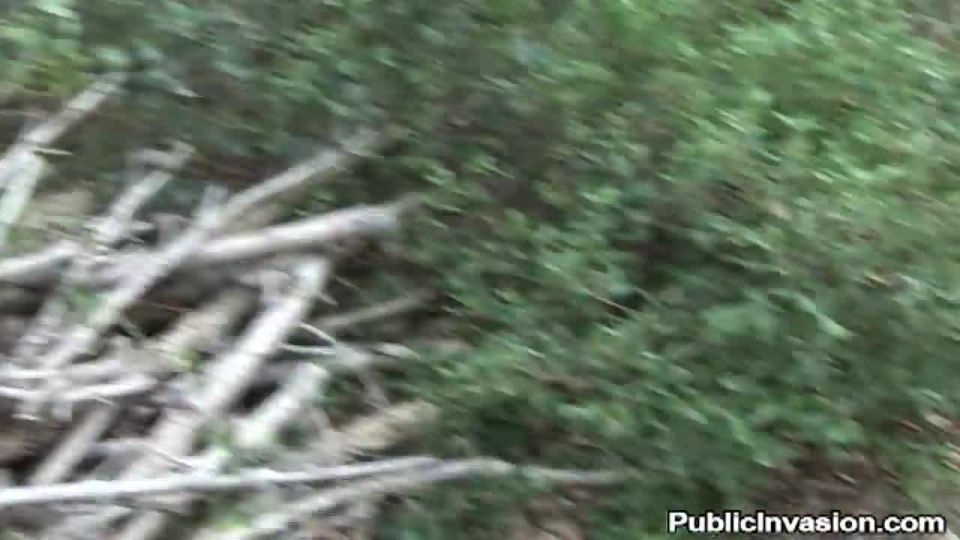 Chantal FerreraTiger In The Wood