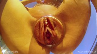 adult video 32 Wasp Experiment [Full HD 632.6 MB] on bdsm porn bdsm hd kink-2
