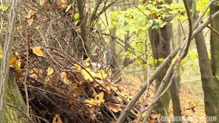 online xxx clip 26 party hardcore gone crazy porno hd online Terra Brunette Fuck With Old Man In Park, czechexperiment on hardcore porn-7